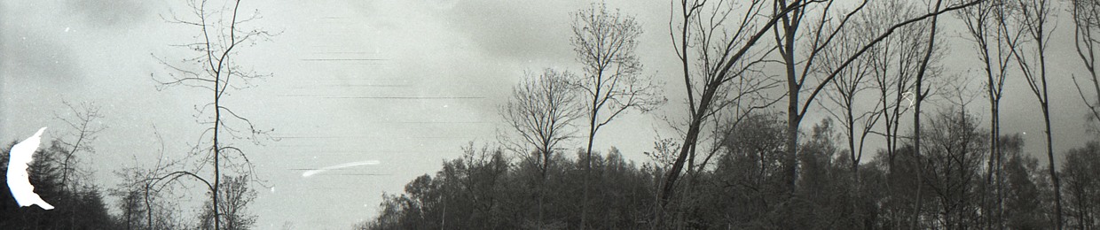 St.Holland