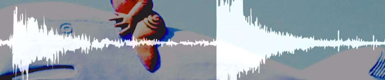 JaMooDy
