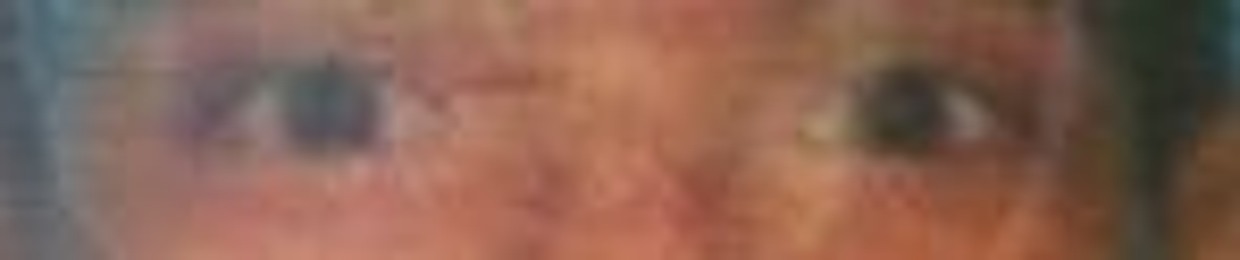sir_buddy_gecko