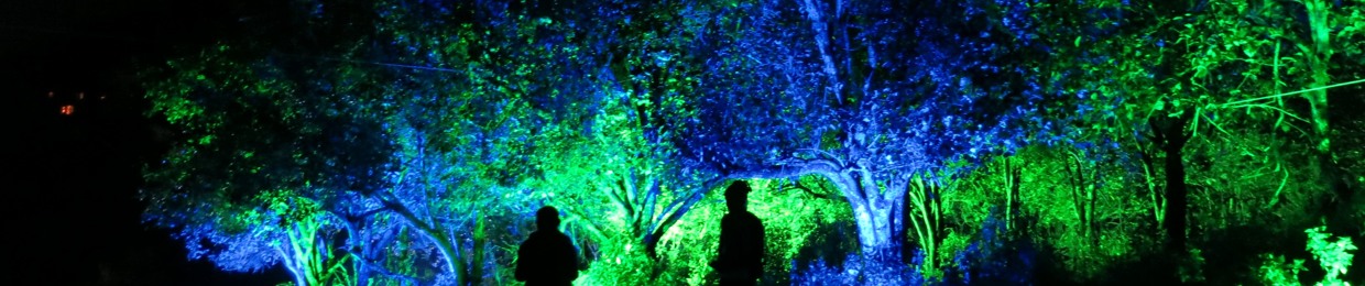 Extrasensory perception