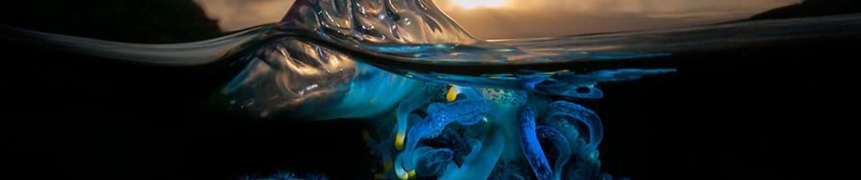 ℲL∑χ Ŀ♡g!☪