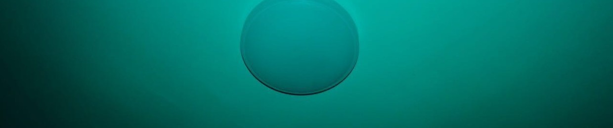 Benjamin Aaron Carl Hill