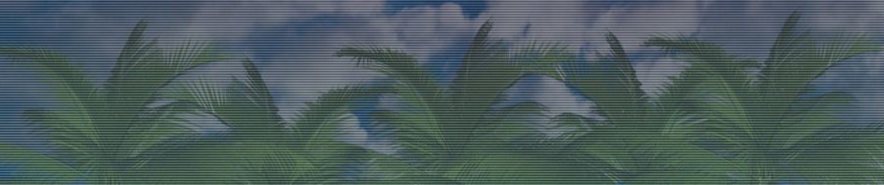 8BiTw0LF