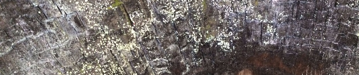 Geist &the SacredEnsemble