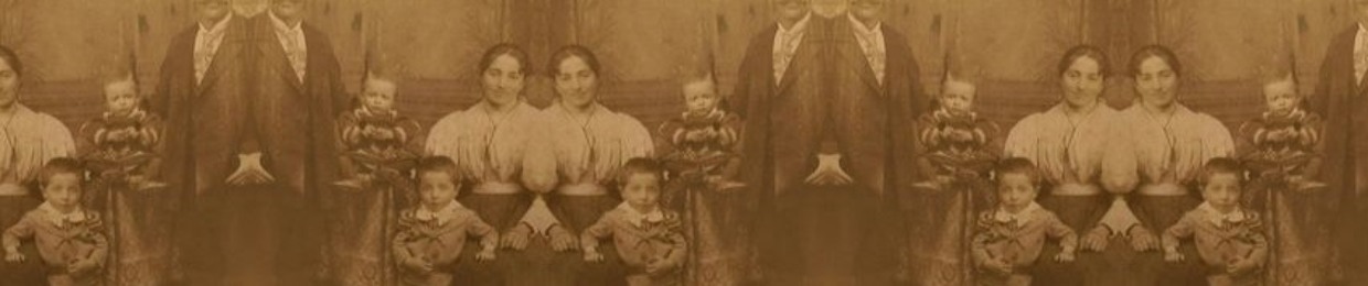 Dov Lev