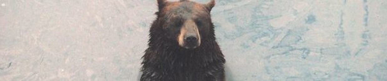 Mr. Grizzley