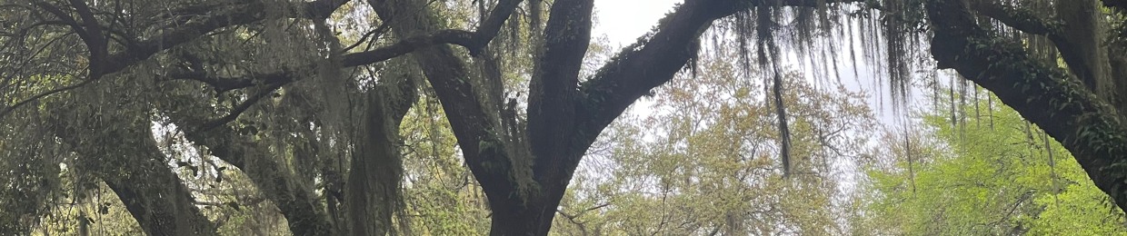 David Anthony/DJSindustry