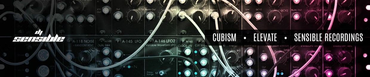 dj sensible