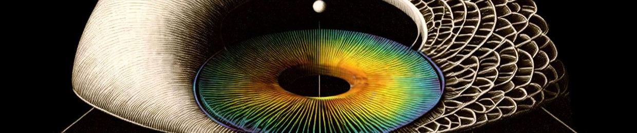 Ectogasmics - Parvati Records