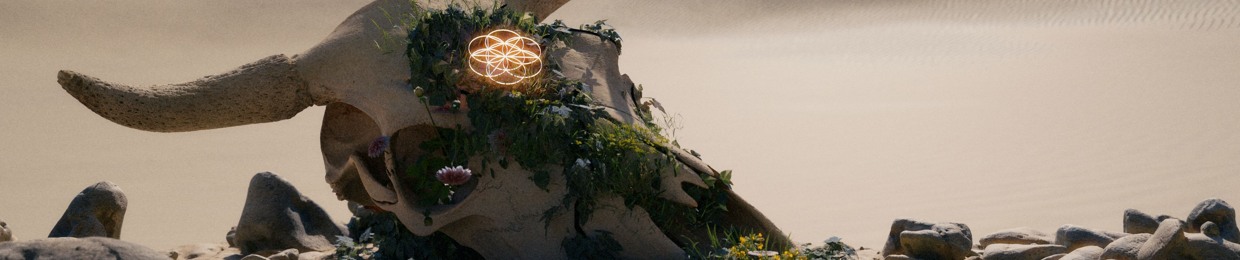 STAR SEED