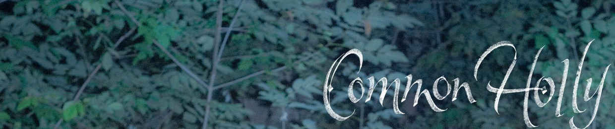 Common Holly
