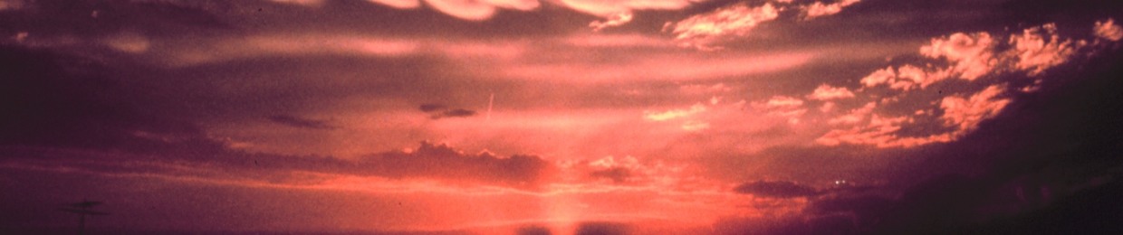 Adrian Alatorre Pillado