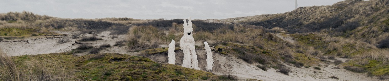 One or Several Wolves