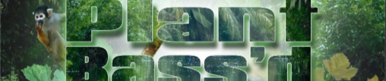 Plant Bass'd