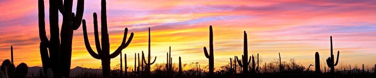 Cosmic Sea Productions