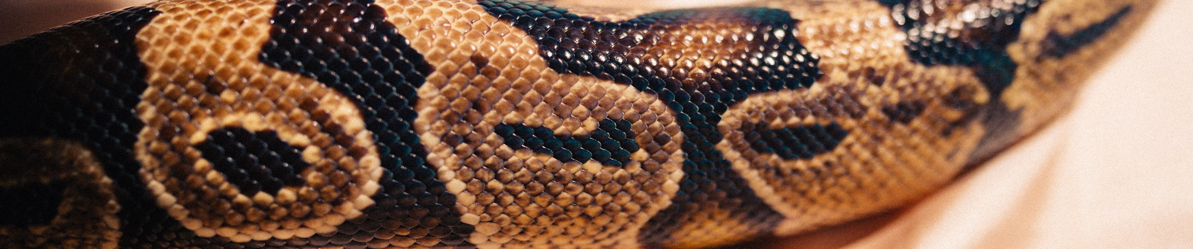 Fernando Milagros S Stream fernando milagros s stream