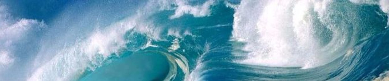 Bunti (der kunterbunteste)