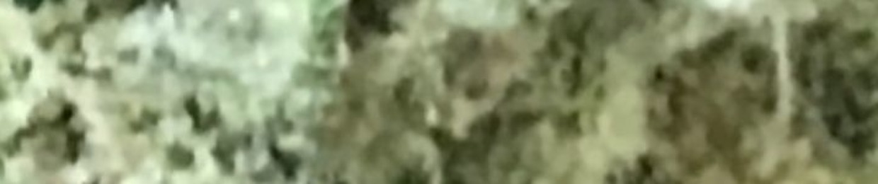 mAnefrAim#7