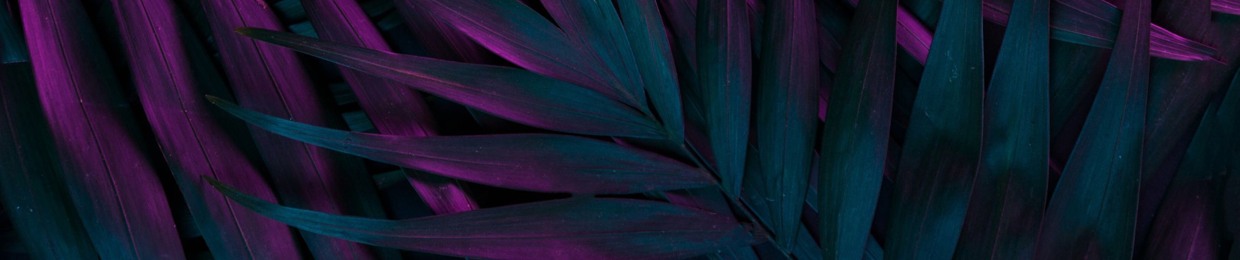 ZUUMBÉ | KUIBÁ COLLECTIVE