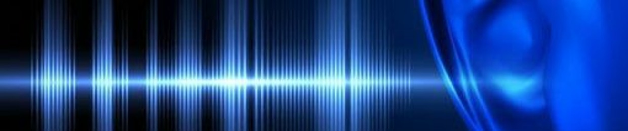 Voudue Audio Forensicks