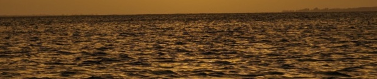 Stephen Glide (Leolife)