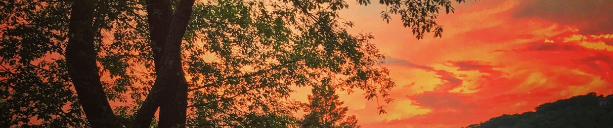 Treetops