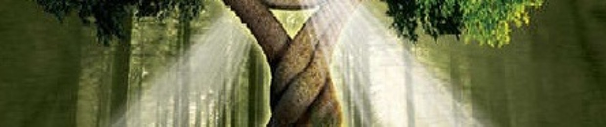 kowisounds Productions