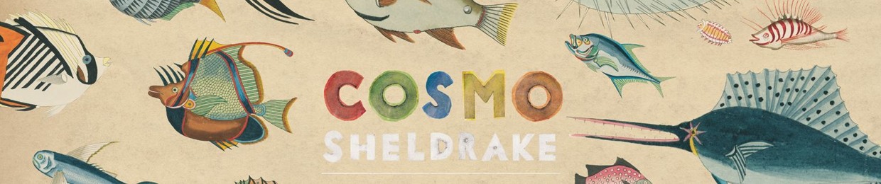 Stream Cosmo Sheldrake  Listen to Nightingale Wake Up Calls playlist  online for free on SoundCloud