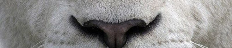SoundCloud banner for @hummer