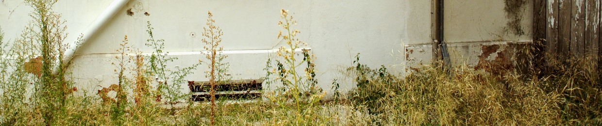 Scheiro