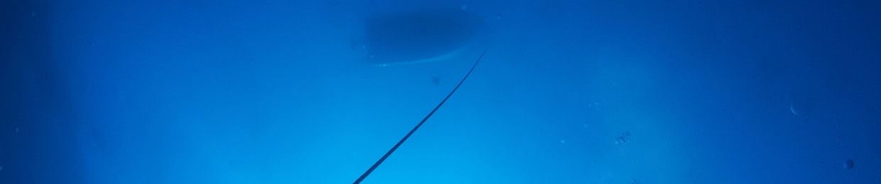 THE PIETROSELLA SOUND EXPERIENCE