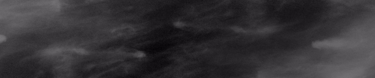 Robert Tarantula Paulsen