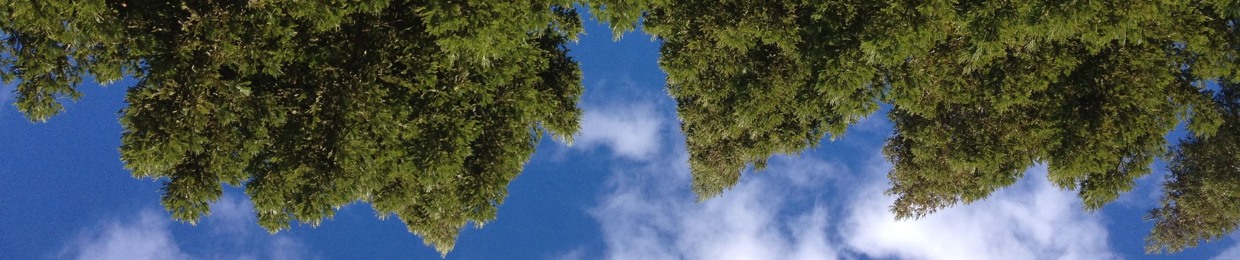 cloudspotter