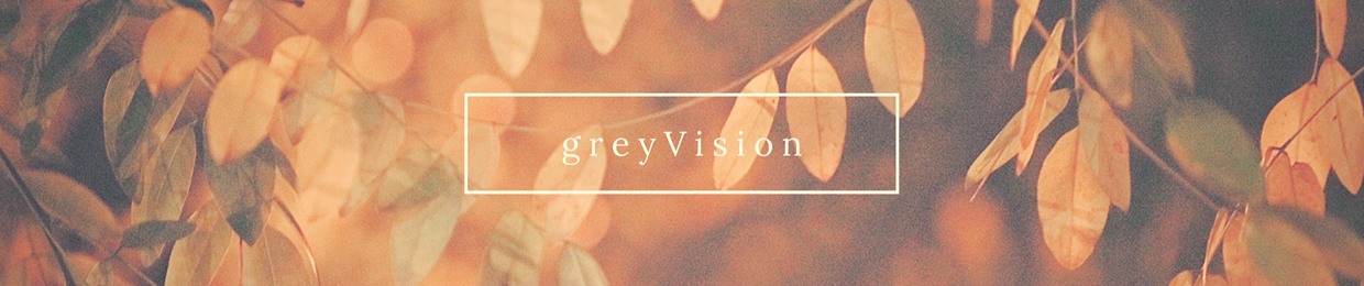 greyVision
