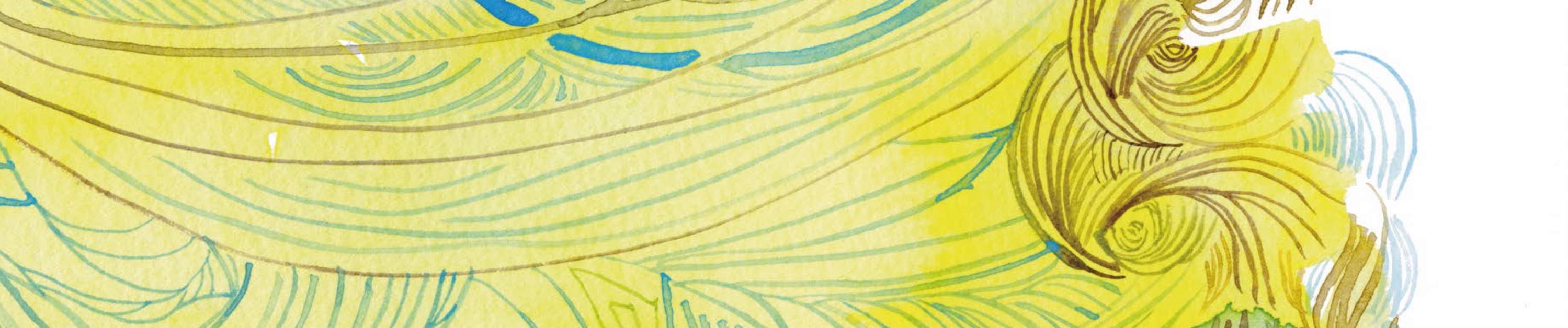 SoundCloud banner for @caucus
