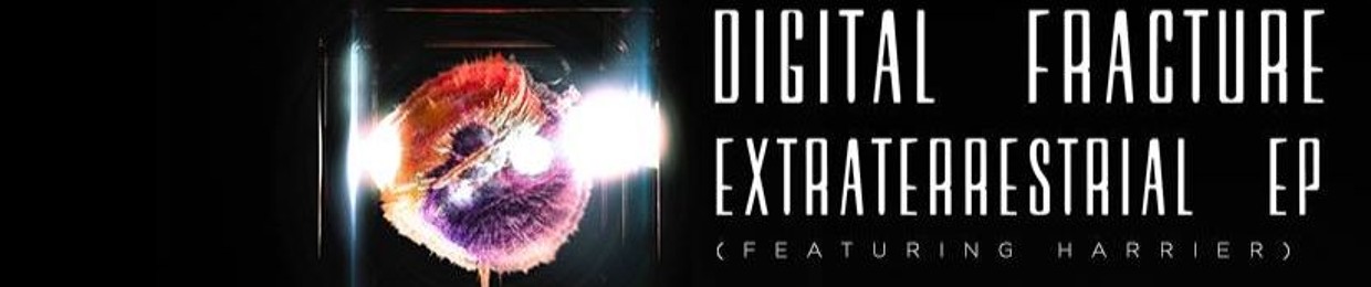 DigitalFracture