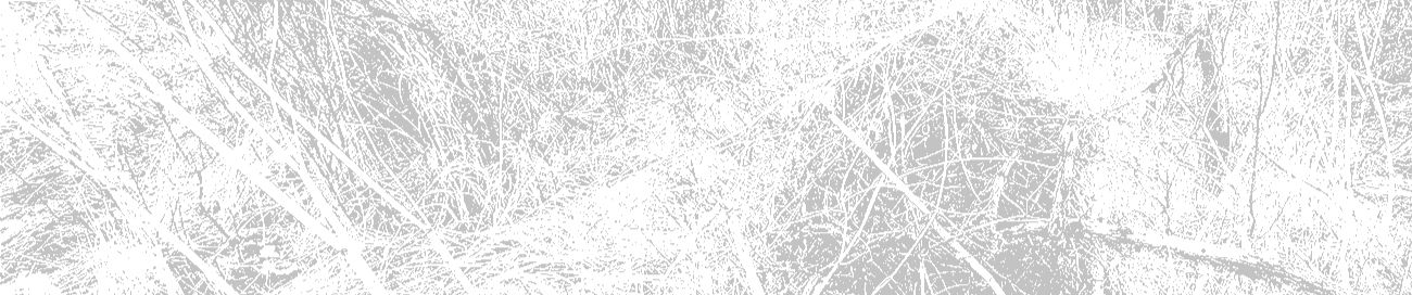 SoundCloud banner for @albeit