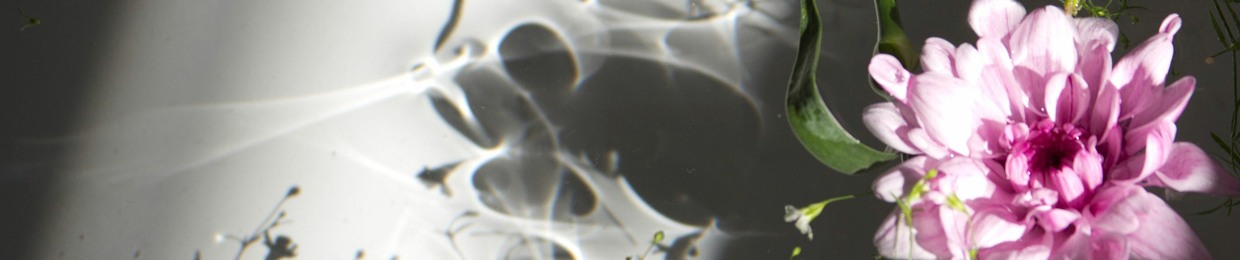 Marthe B-L Pfirrmann