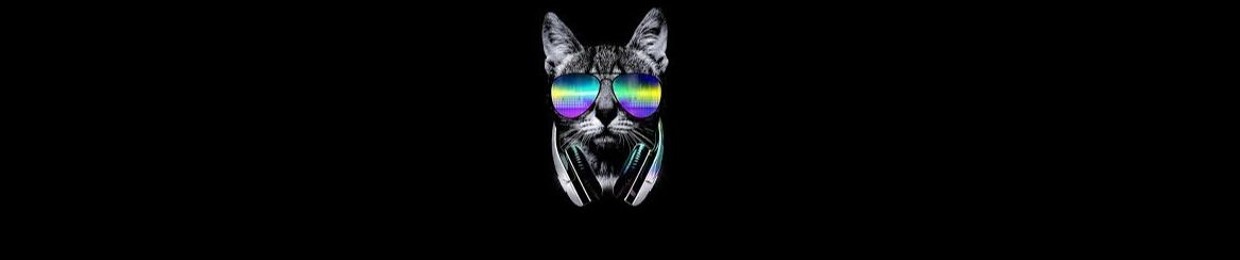 ledz
