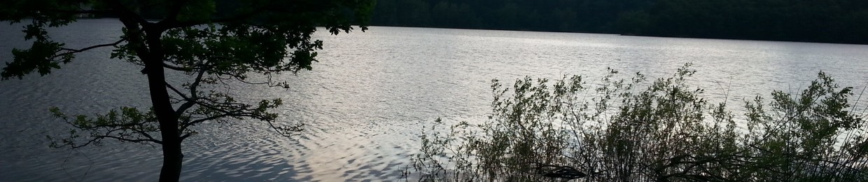 Créatives_Symphonies