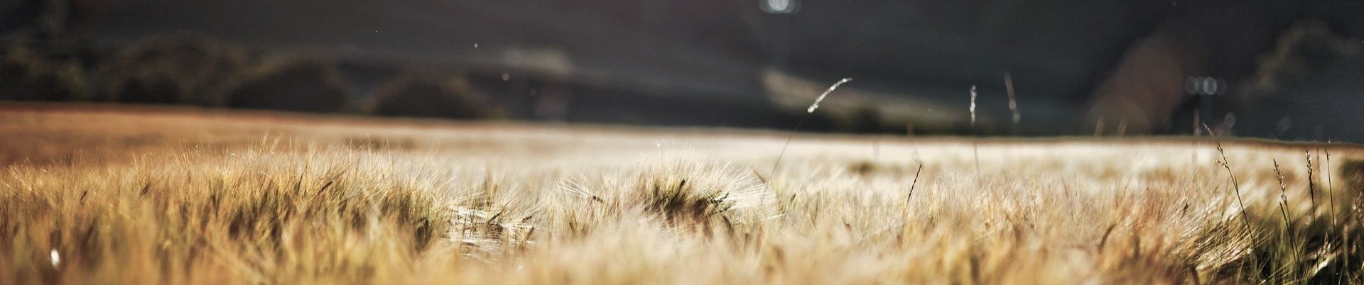 SoundCloud banner for @trickery
