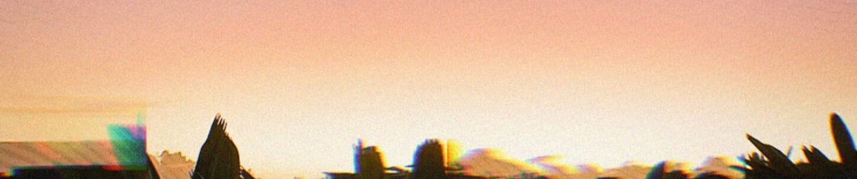 LWCD