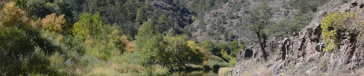 Wild Mountain Echoes