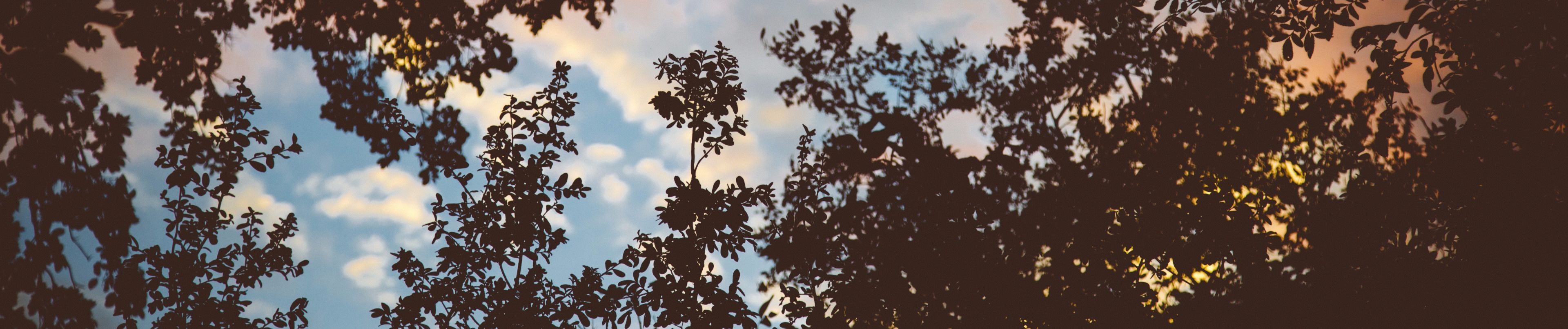 SoundCloud banner for @tomasv