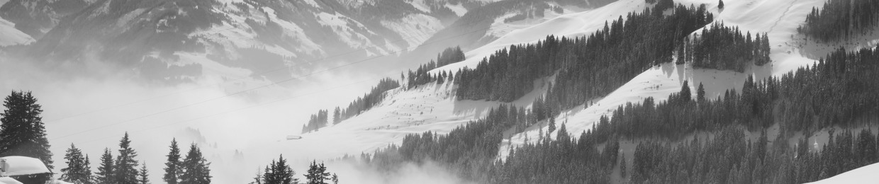 Gabelstaplerfahrer Klaus