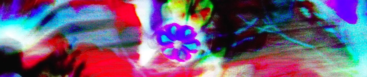 everything /is/beautiful