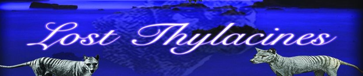 Lost Thylacines