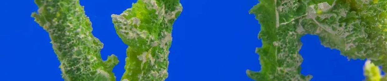 Geo