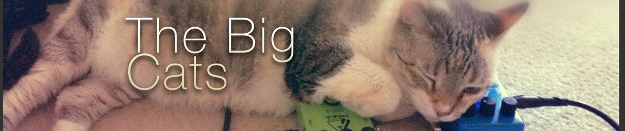 The Big Cats