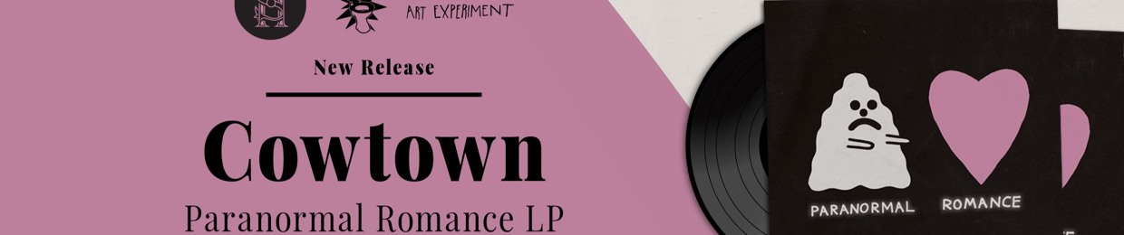 TheAudaciousArtExperiment